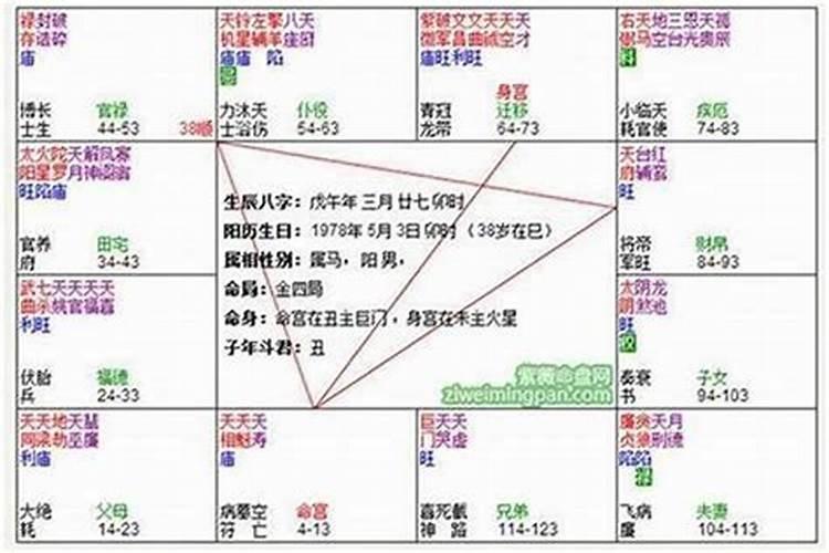 查看2021年运势紫薇命盘