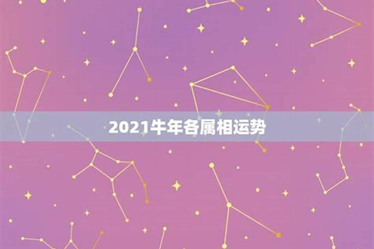 搜索2021年的运势