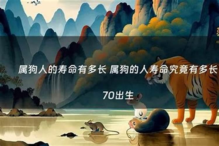 本命年是运气不好的吗属虎