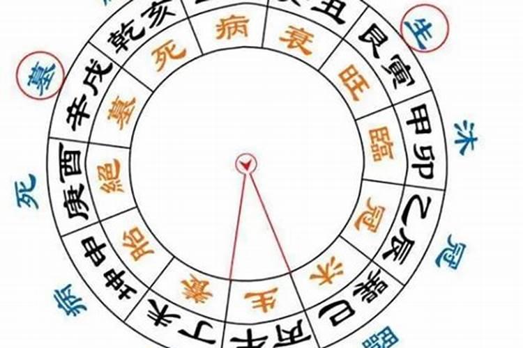 八字大运衰病死意思