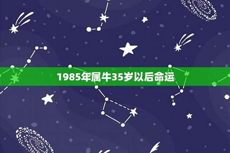 1985年属牛36岁以后命运