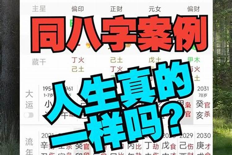 名人结婚合八字吗