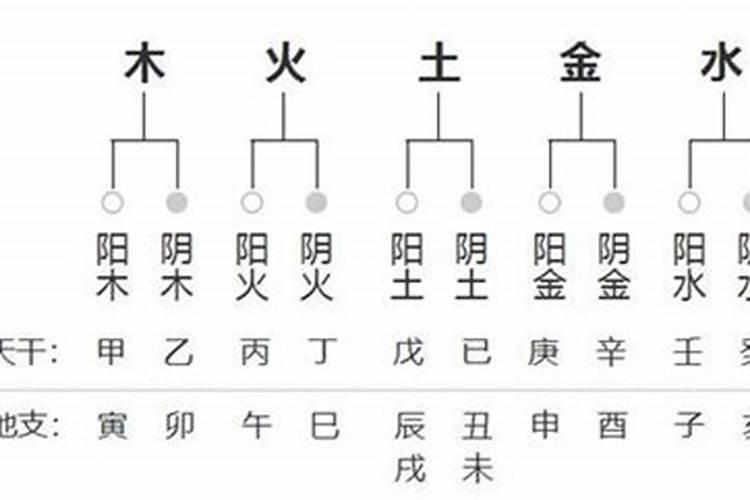 男女八字阴阳平衡