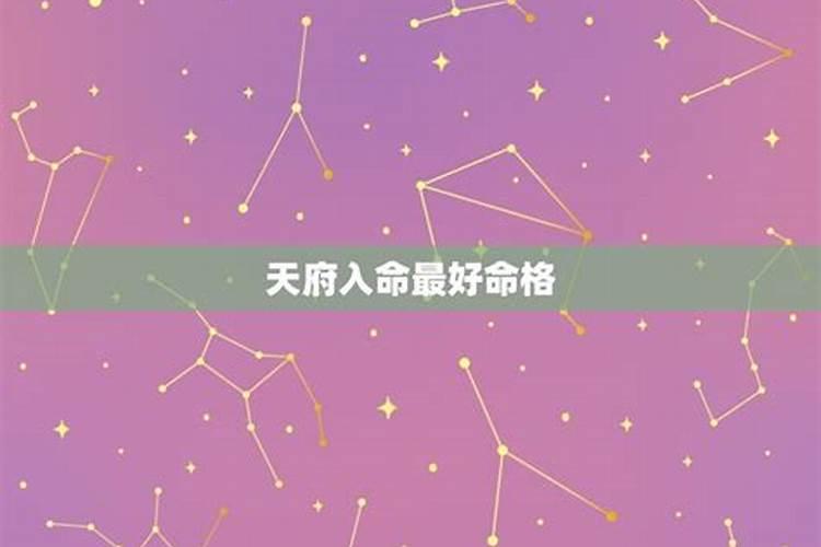 紫微天府星在命宫