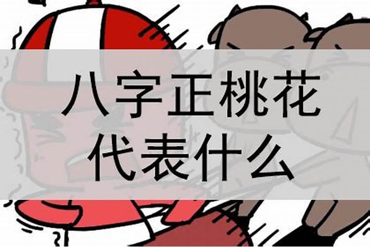 桃花八字