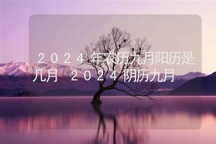 2024年9月的五行