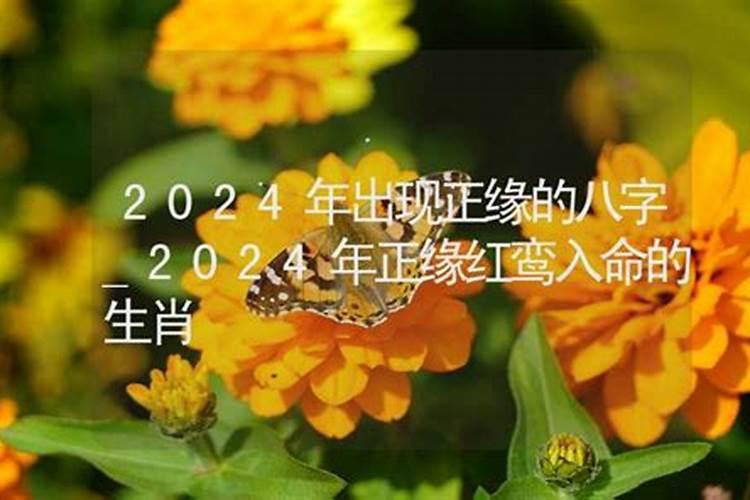 2024年6月6日八字