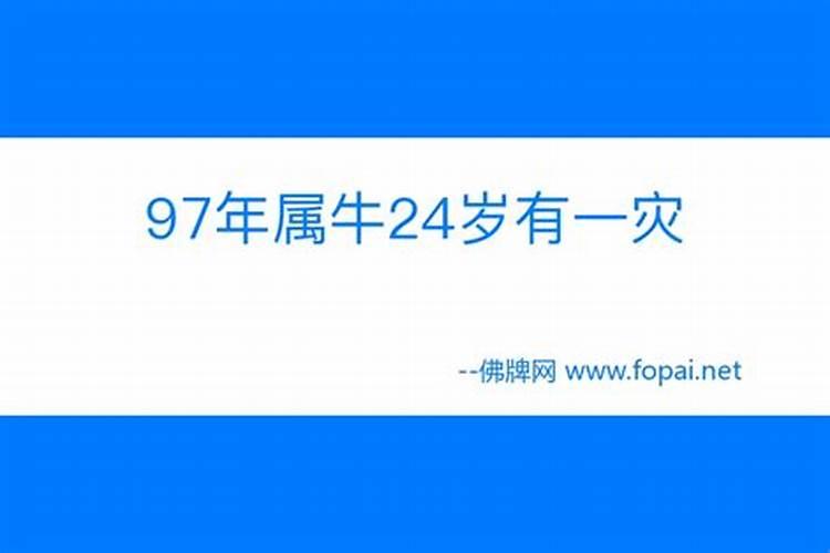 97年生肖牛幸运数字