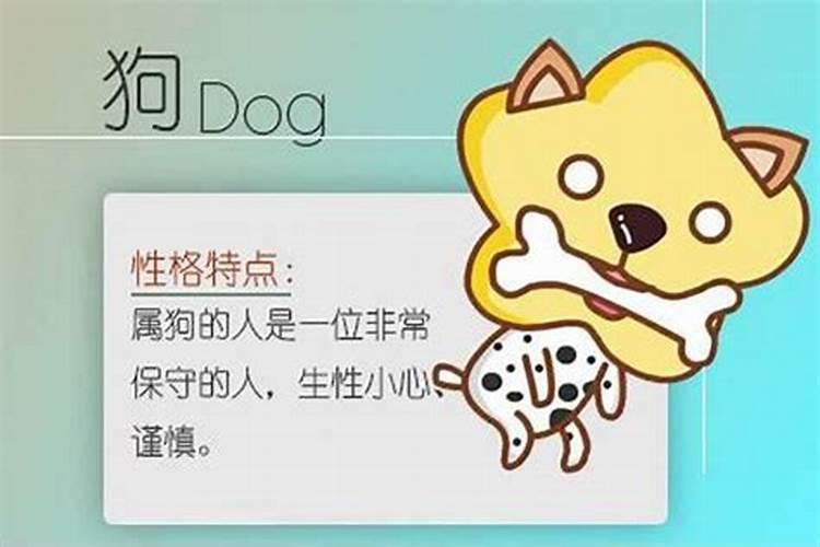 数猴和数狗的合婚吗