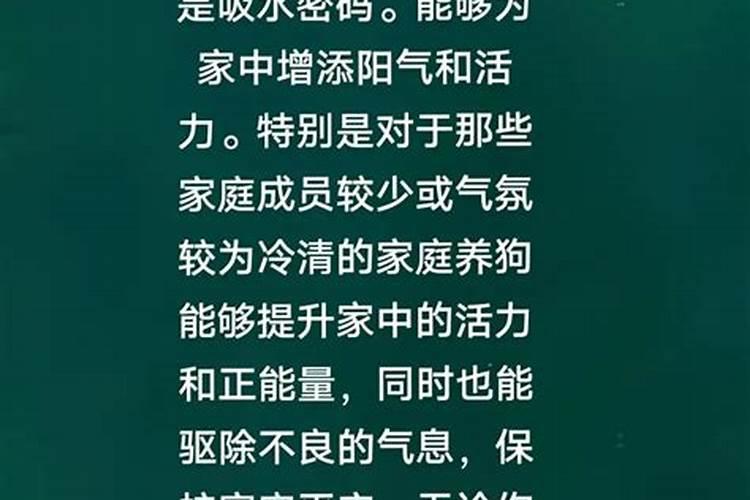 羊和狗的八字合吗