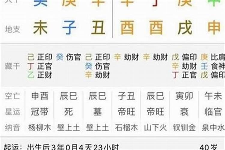 日柱丁卯大运辛亥流年戊戌会咋样