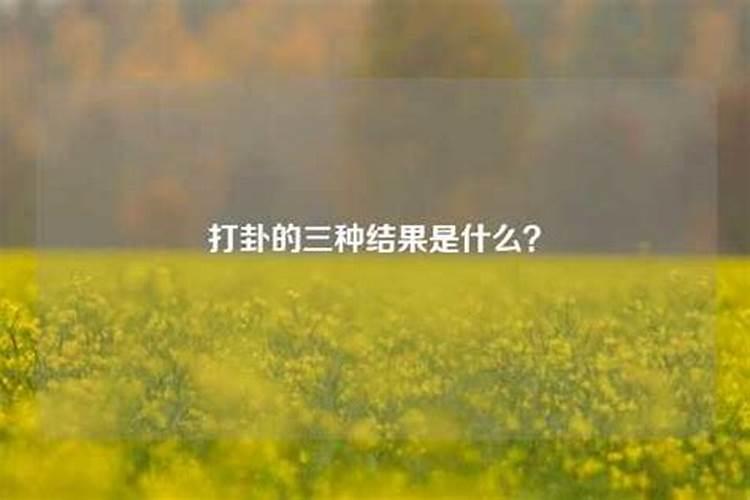 算命打婚姻结是什么意思