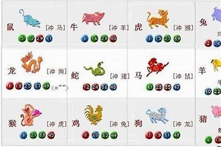 属猪与属虎的八字合吗