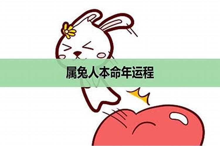 本命年要注意什么属兔