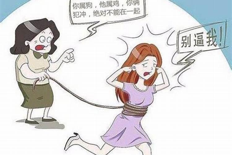 数狗和数鸡合婚吗