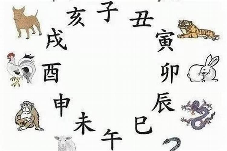 兔和鼠的八字合吗