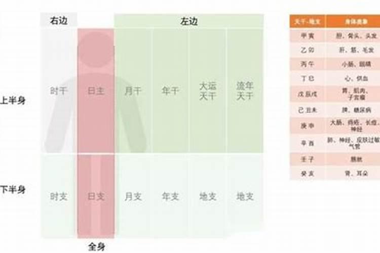 八字和身体部位的关系