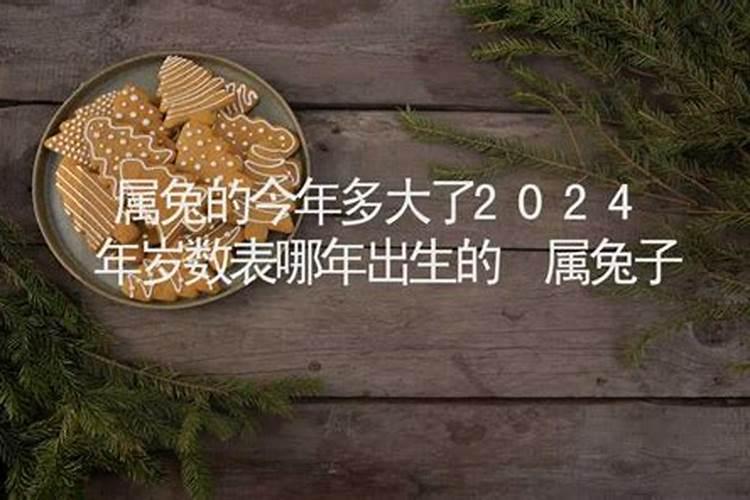 属兔今年几岁今年多大