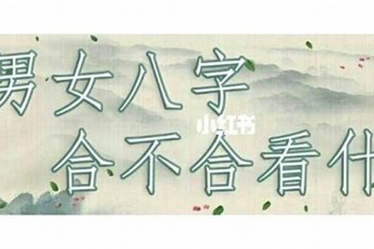 算两人八字