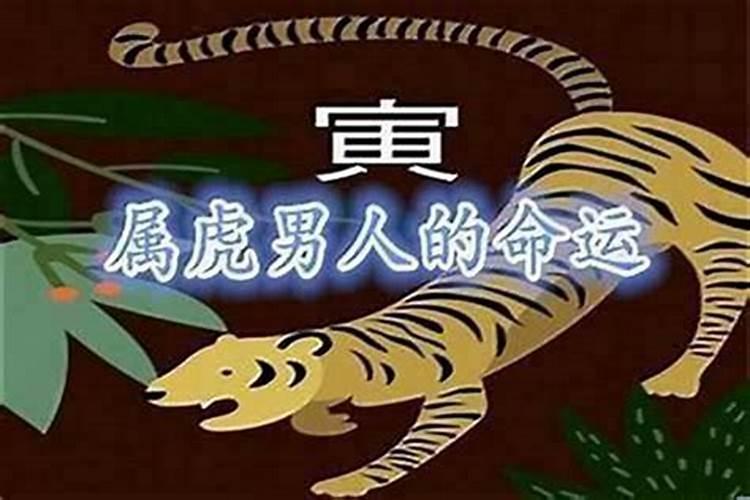 1998本命年虎年运势怎样