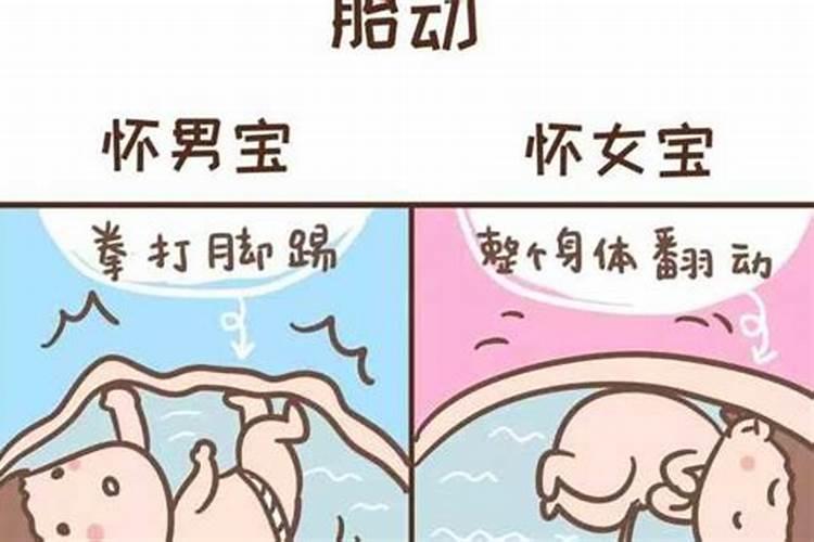 怀女宝运气好还是怀男宝运气好