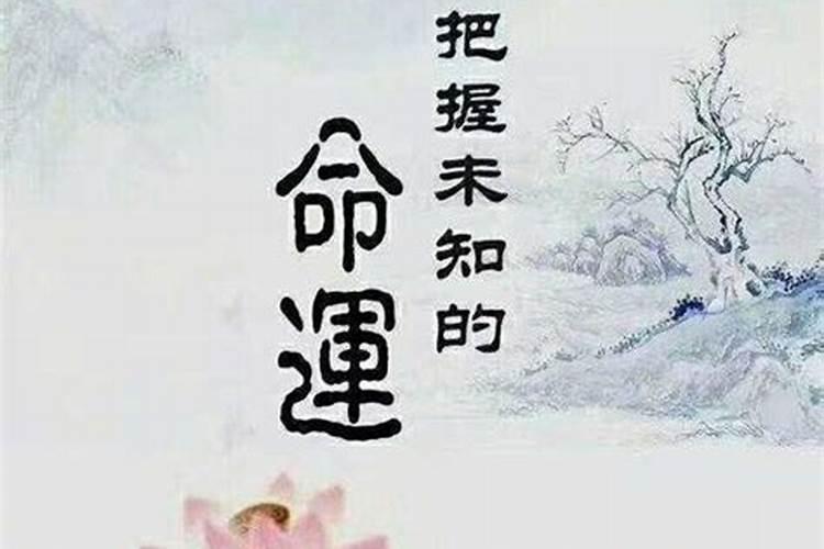 寅见丑