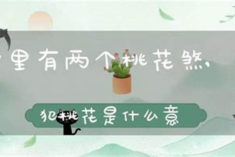 命里犯桃花煞怎么化解