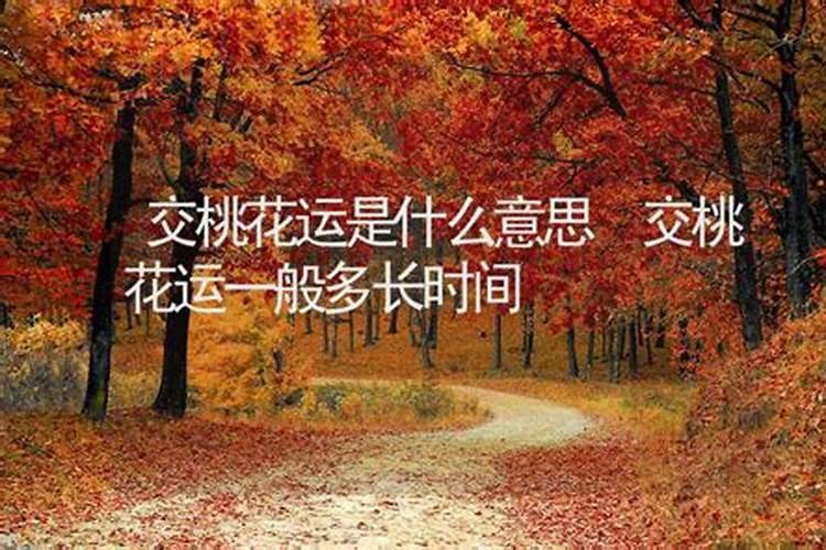 什么面相的人桃花旺盛