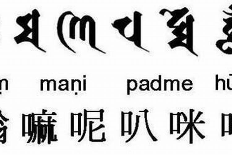 教念妙法莲华经全部