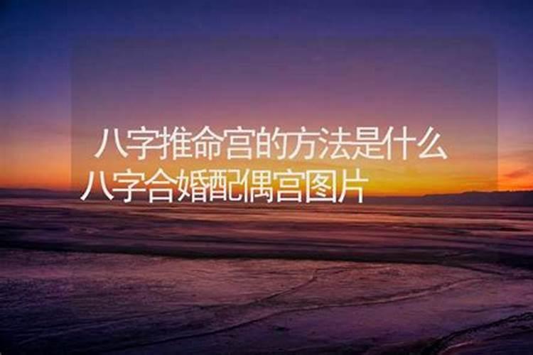 合婚中的命宫指什么