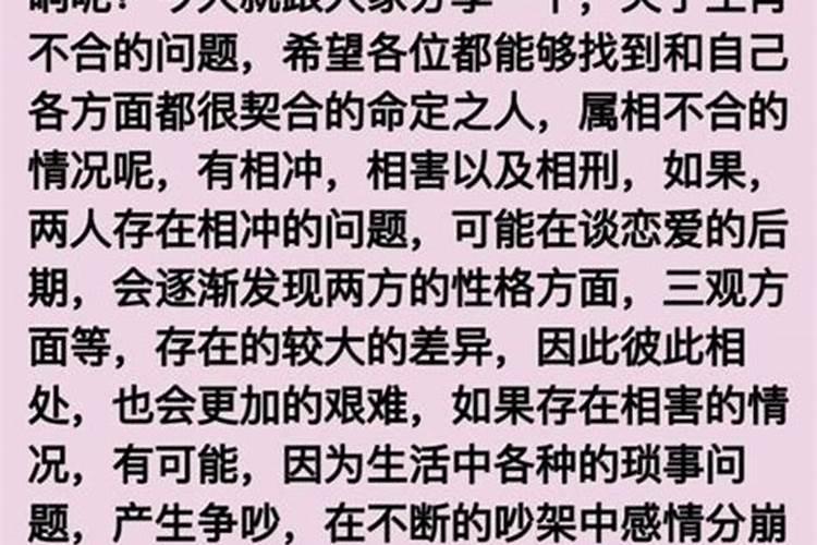 属相不合八字不合的人终究不合适