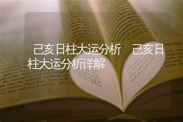 八字中己亥是什么合