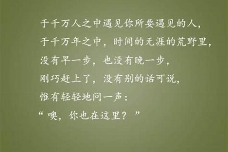 八字什么时候才会遇见真爱