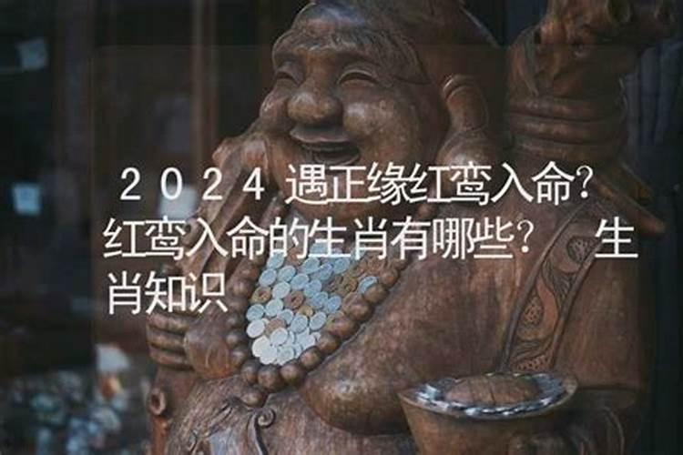 2024年有红鸾天喜星生肖