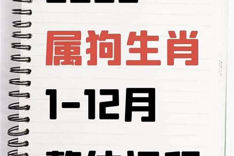 1982年农历8月29日女命