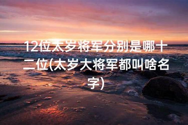 十二位太岁都叫什么名字