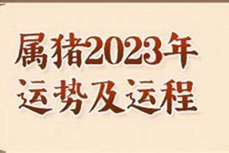 2023年属猪人