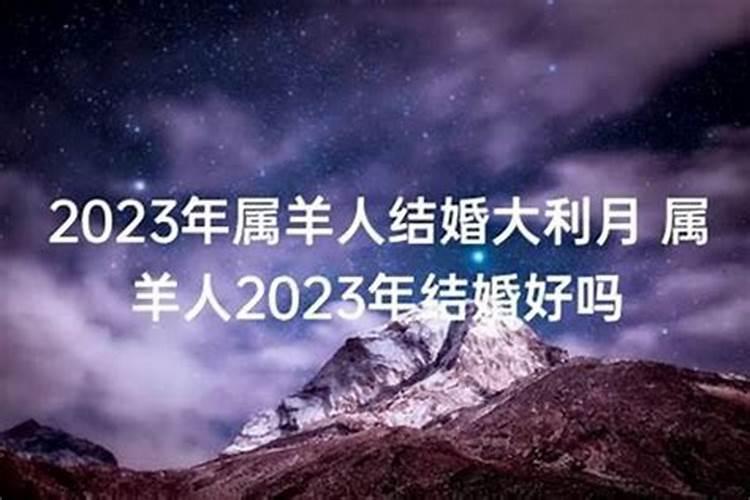 91年的羊2023年婚姻