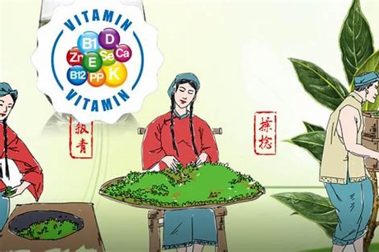 虎年犯太岁家里适合放些什么植物