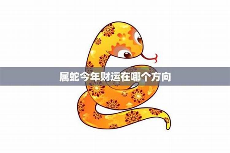 今年的财运方在什么方向