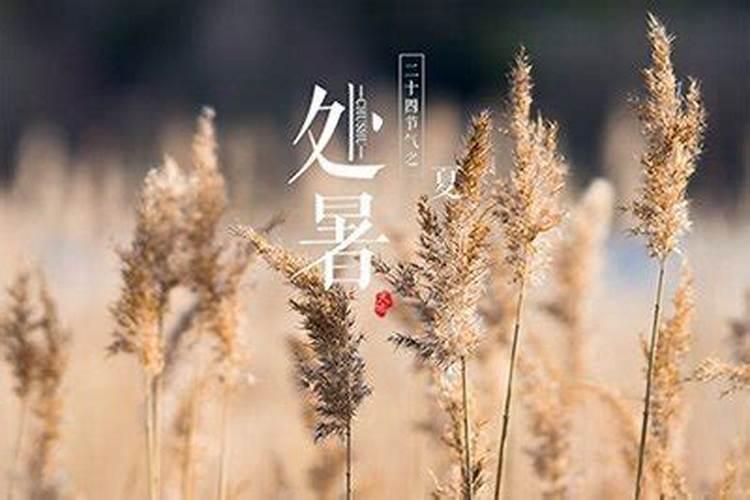 八字木旺怎么化解