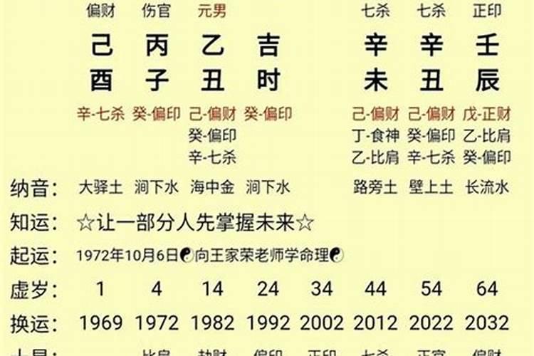 辛巳日柱的八字案例