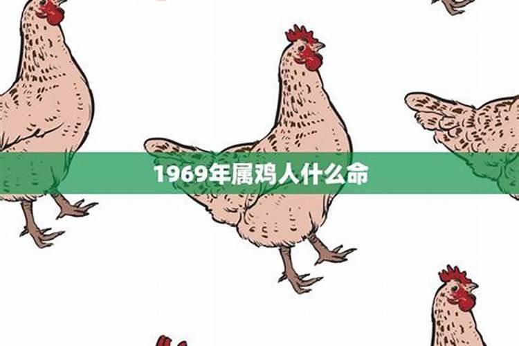 1969年属鸡的终身命运