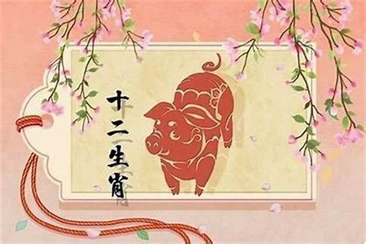 属猪今年婚姻不顺吗