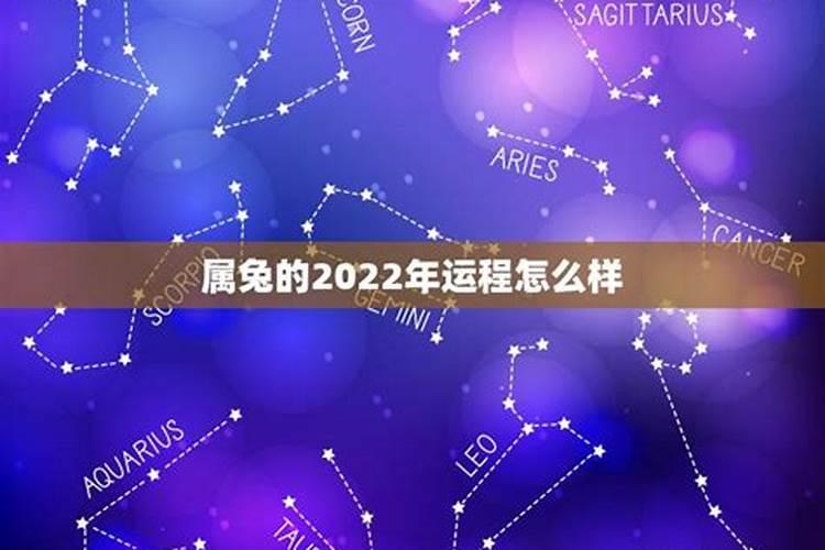 属兔2022年运势和注意事项