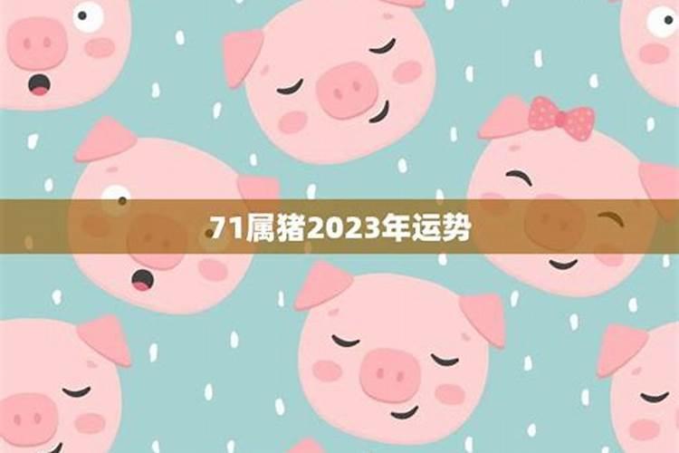 71属猪2023十年大运蛋属