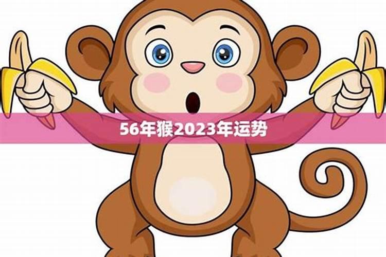 2023年属猴人的运势