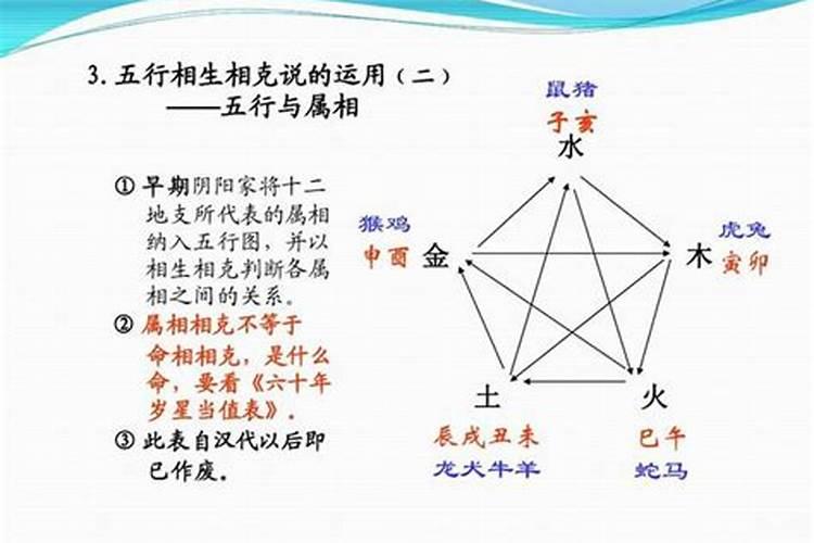 五行与属相怎样分配的