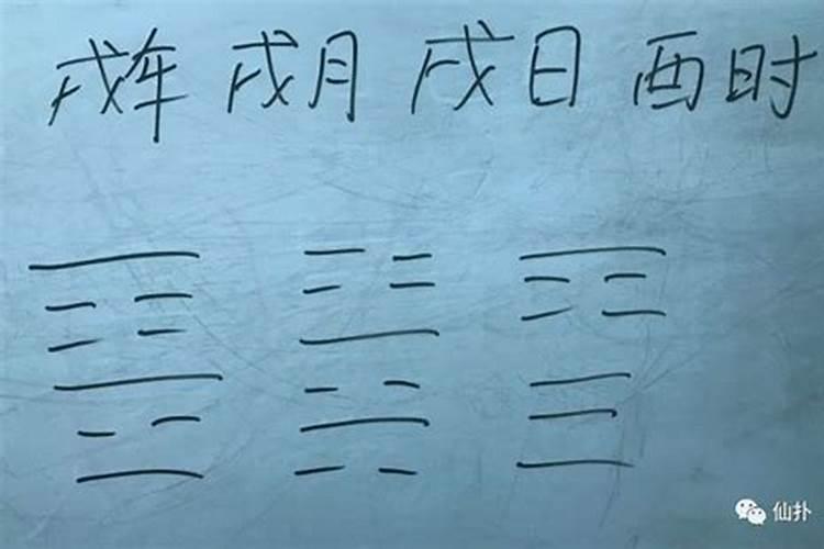 属鸡和属鼠的八字合吗