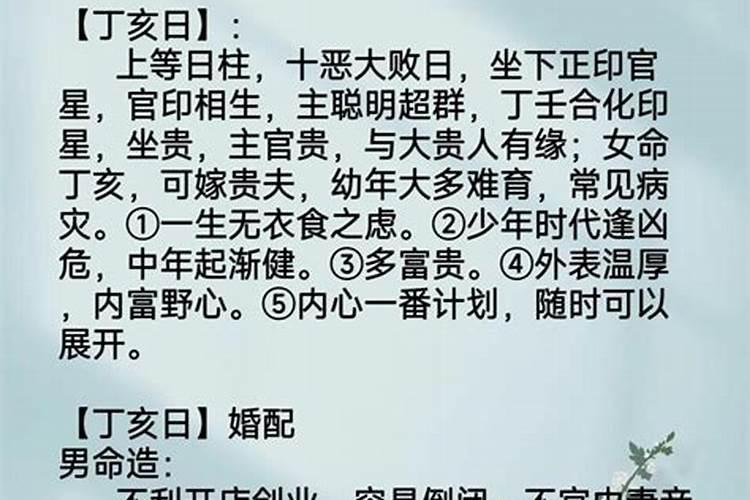 丁亥日柱与甲午日柱合婚吗